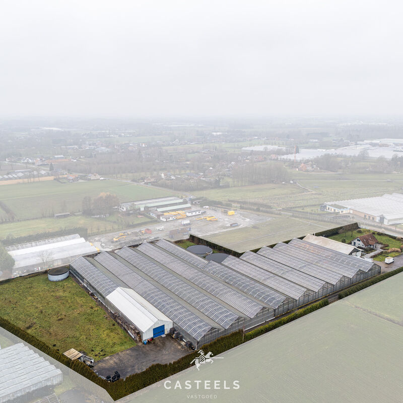 DJI_20260203142641_0506_D-bewerkt