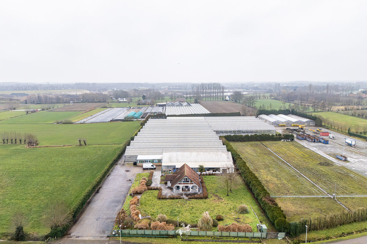 DJI_20260203142406_0503_D