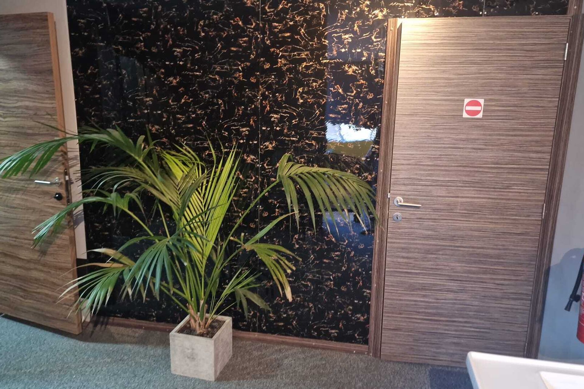 PHOTO-2026-02-25-11-36-41