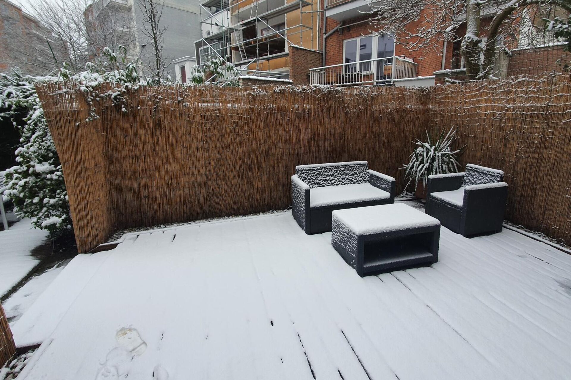 Albert Wintertuin (17)