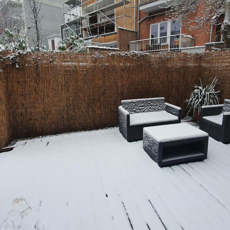 Albert Wintertuin (17)