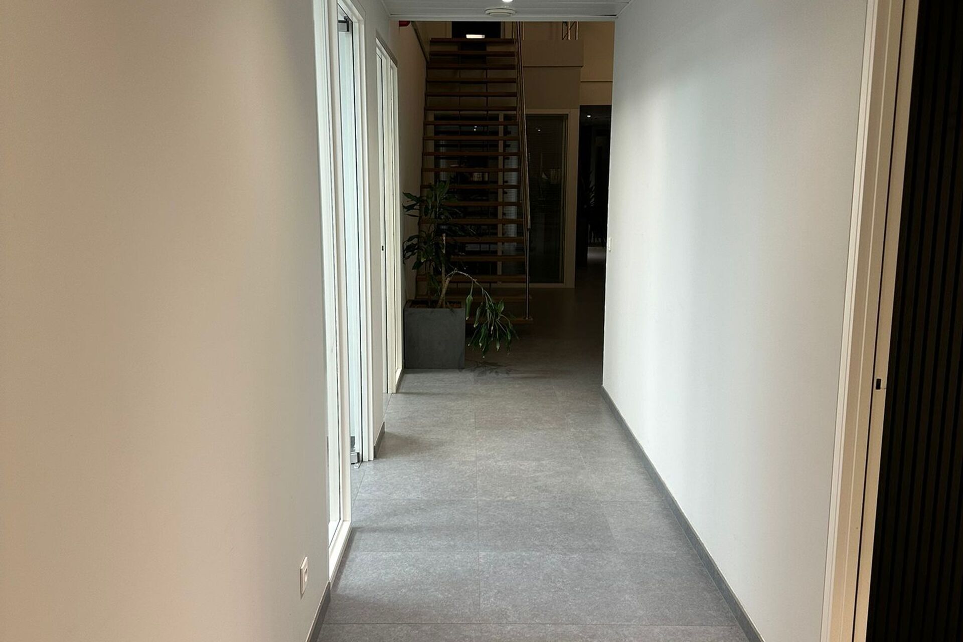 Afbeelding van WhatsApp op 2025-08-15 om 00.00.54_f8064e83