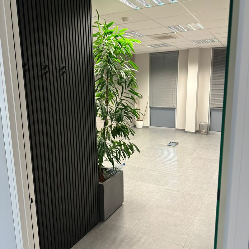 Afbeelding van WhatsApp op 2025-08-15 om 00.00.55_57b49409