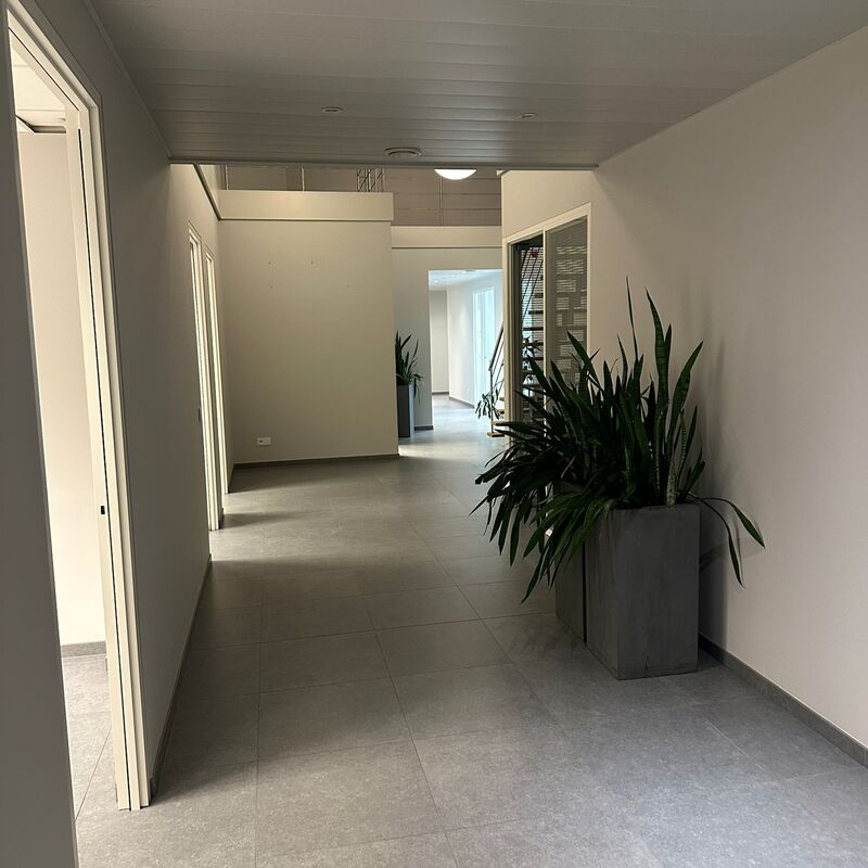 Afbeelding van WhatsApp op 2025-08-15 om 00.00.52_4501e990