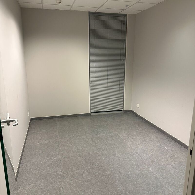 Afbeelding van WhatsApp op 2025-08-15 om 00.00.53_e89aa9df