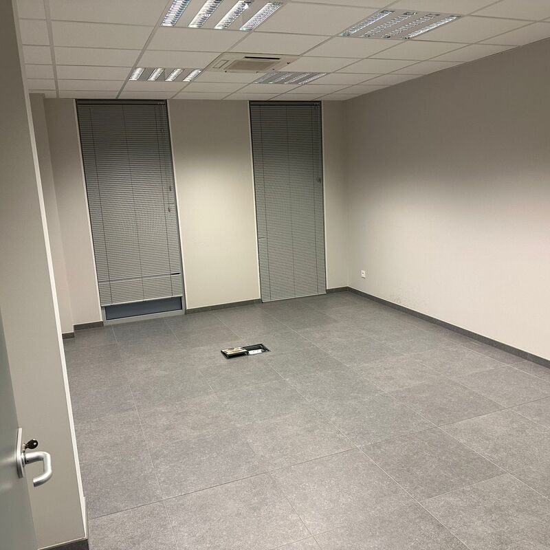 Afbeelding van WhatsApp op 2025-08-15 om 00.00.54_64644dde