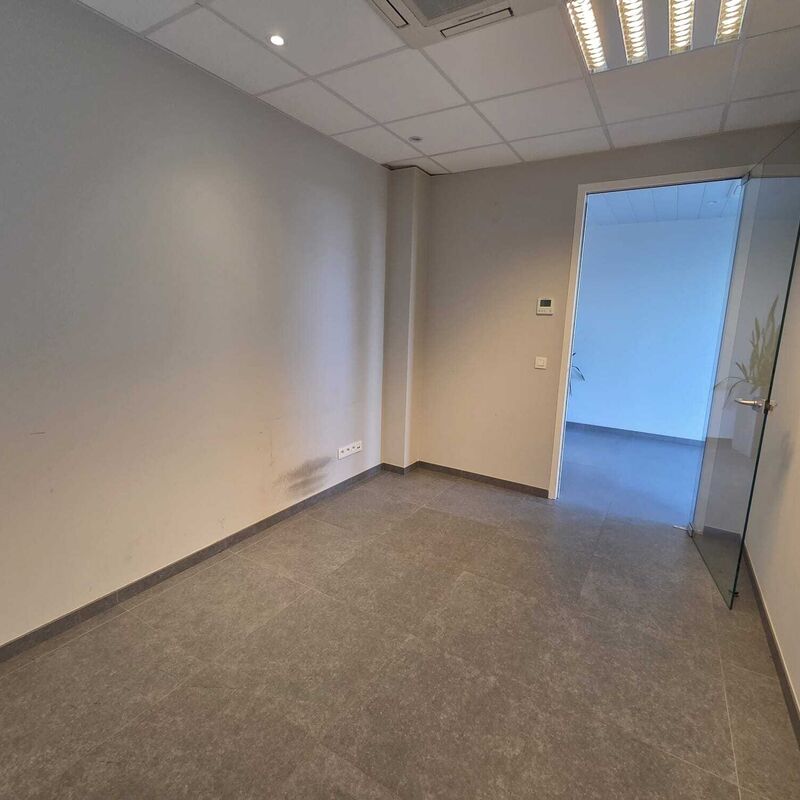 Afbeelding van WhatsApp op 2025-08-15 om 17.56.06_37fb343e