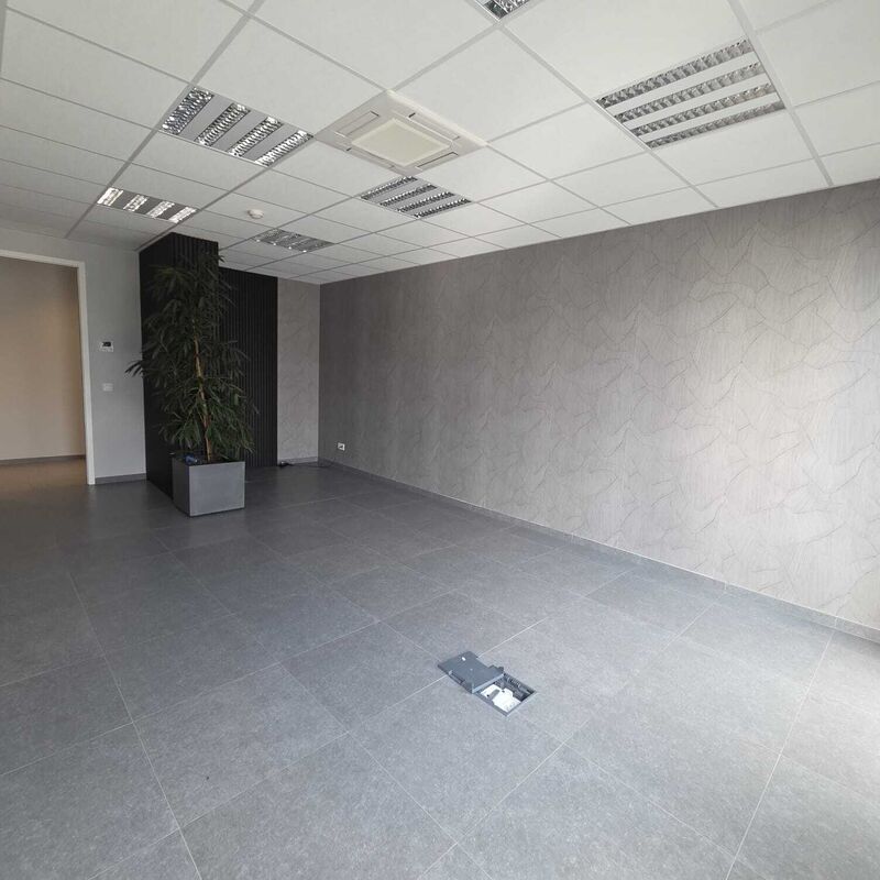 Afbeelding van WhatsApp op 2025-08-15 om 17.56.04_62cb72c3