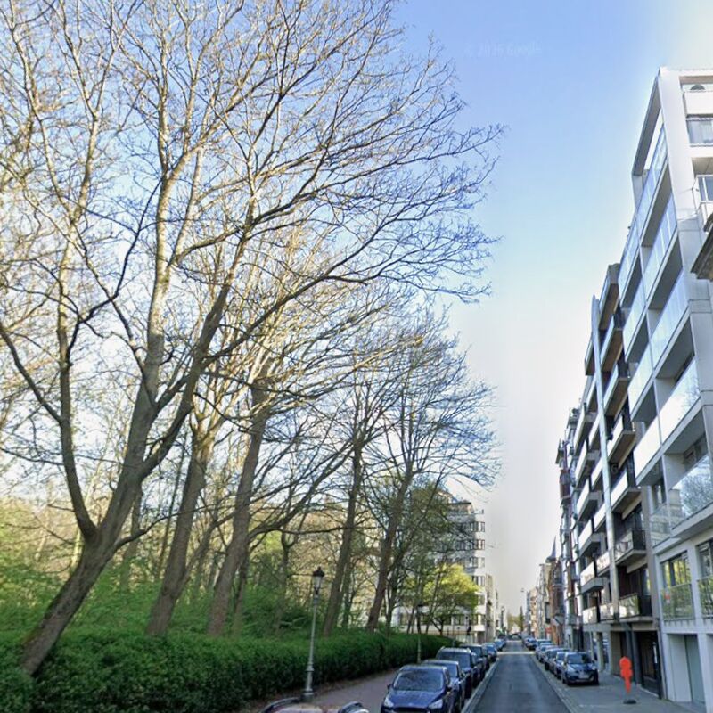 Schermafbeelding 2026-03-23 154111