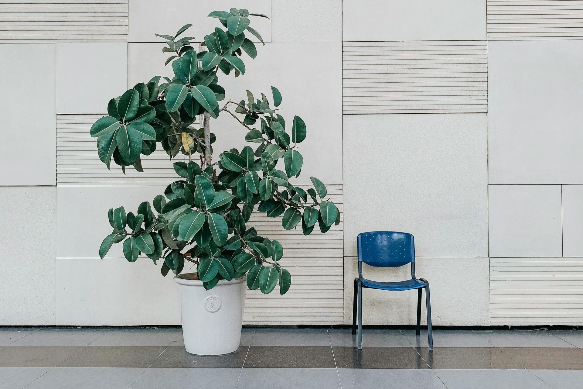 4c1b0bc104be158a4f3cd2643045bcab