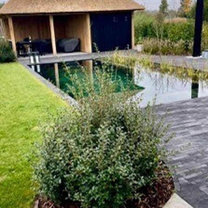 Overname 2 De Pauw