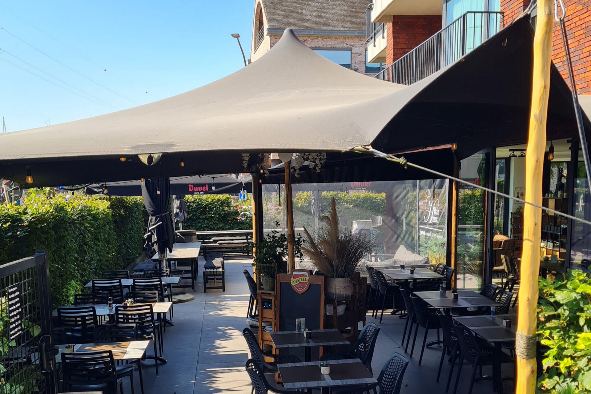terras img (1)