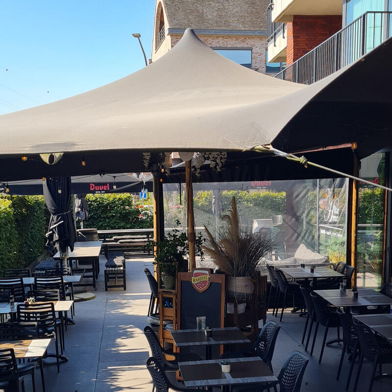 terras img (1)