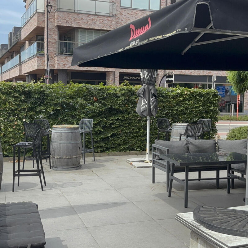 terras img (3)