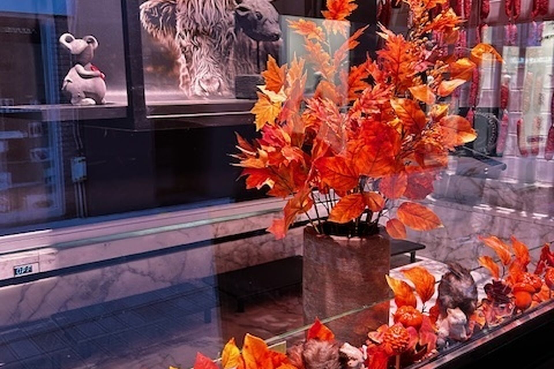 foto winkel e