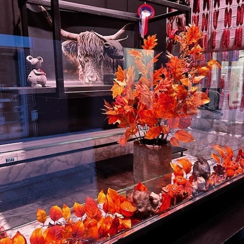 foto winkel e