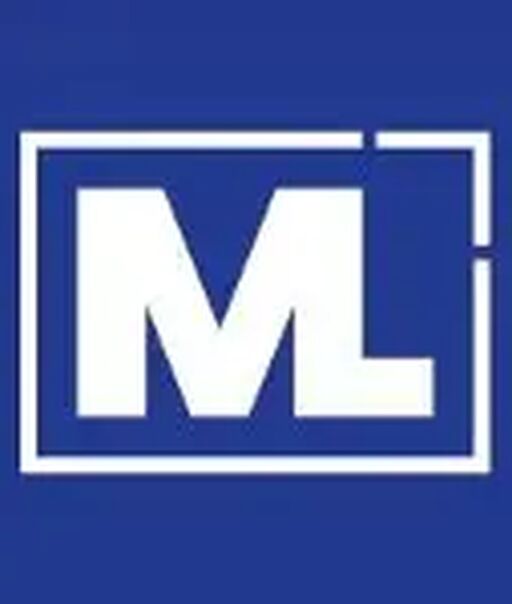 MARKTLINK  FUSIES en OVERNAMES BV