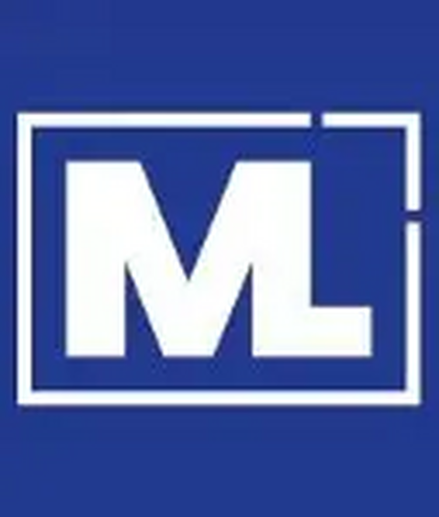 MARKTLINK  FUSIES en OVERNAMES BV