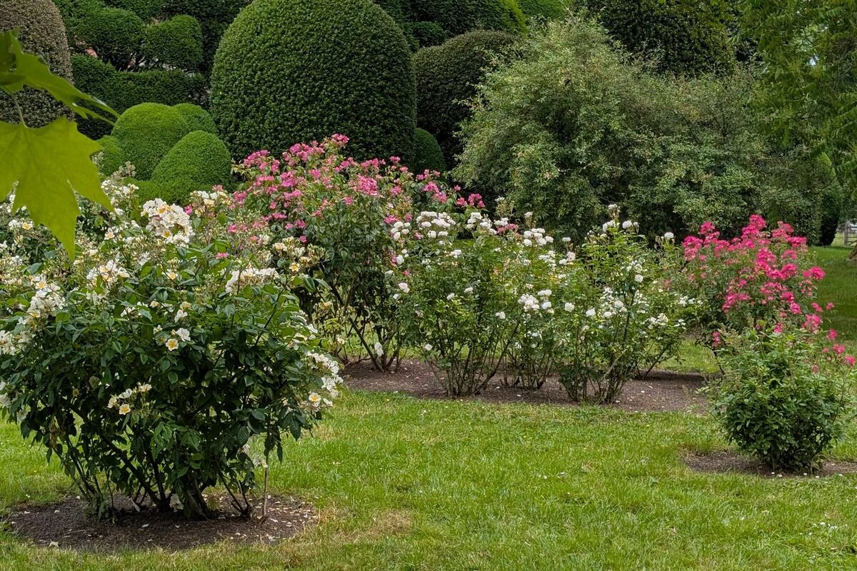 Planten1