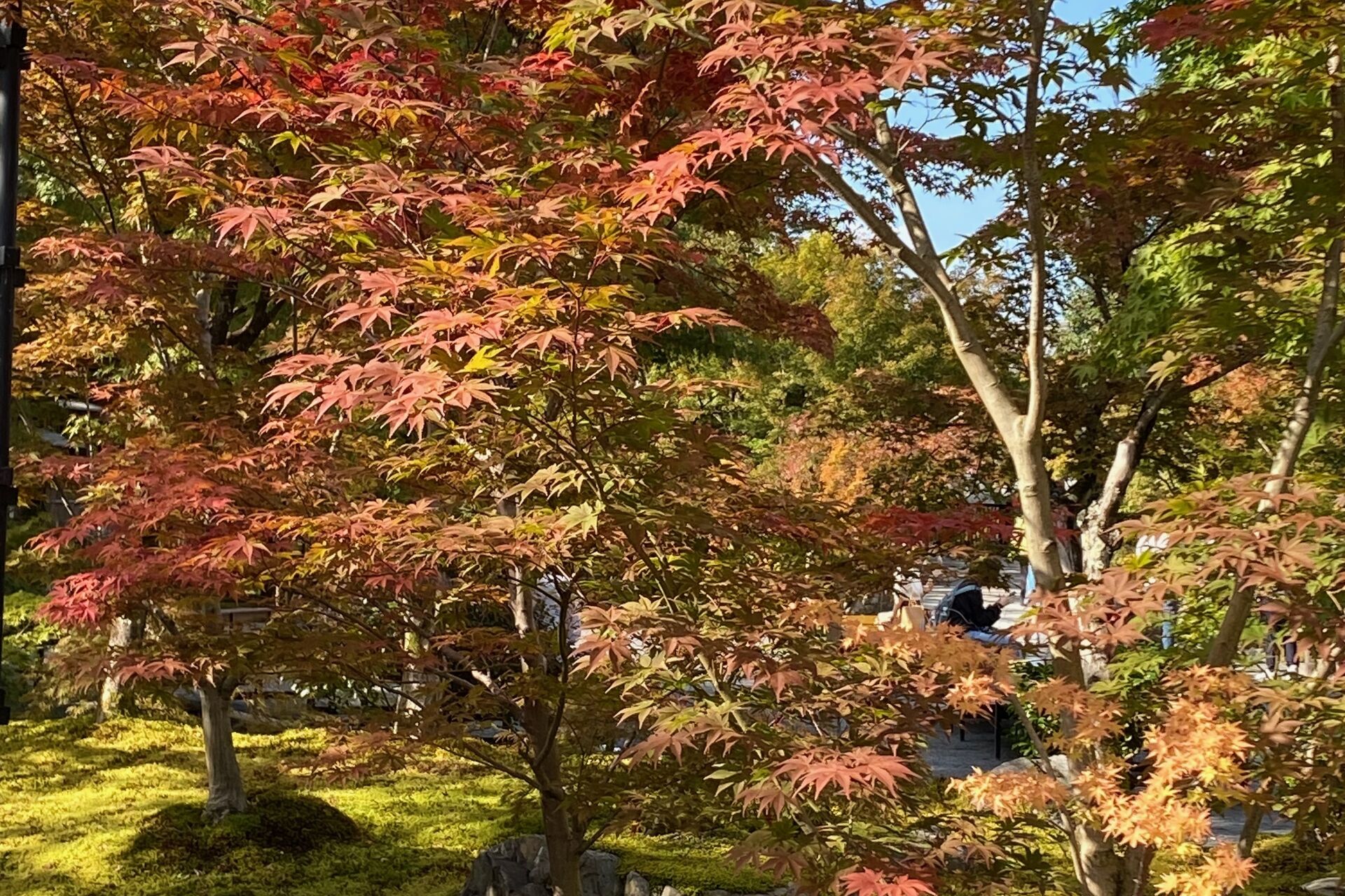 31f9d231ebc88623a37ba6910f620d00