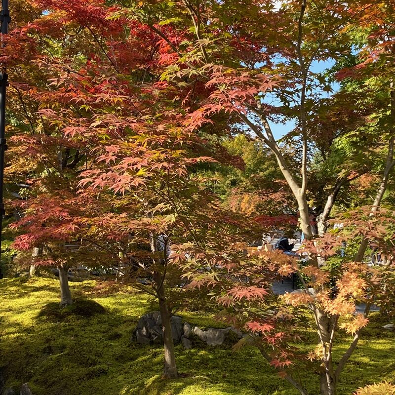 31f9d231ebc88623a37ba6910f620d00