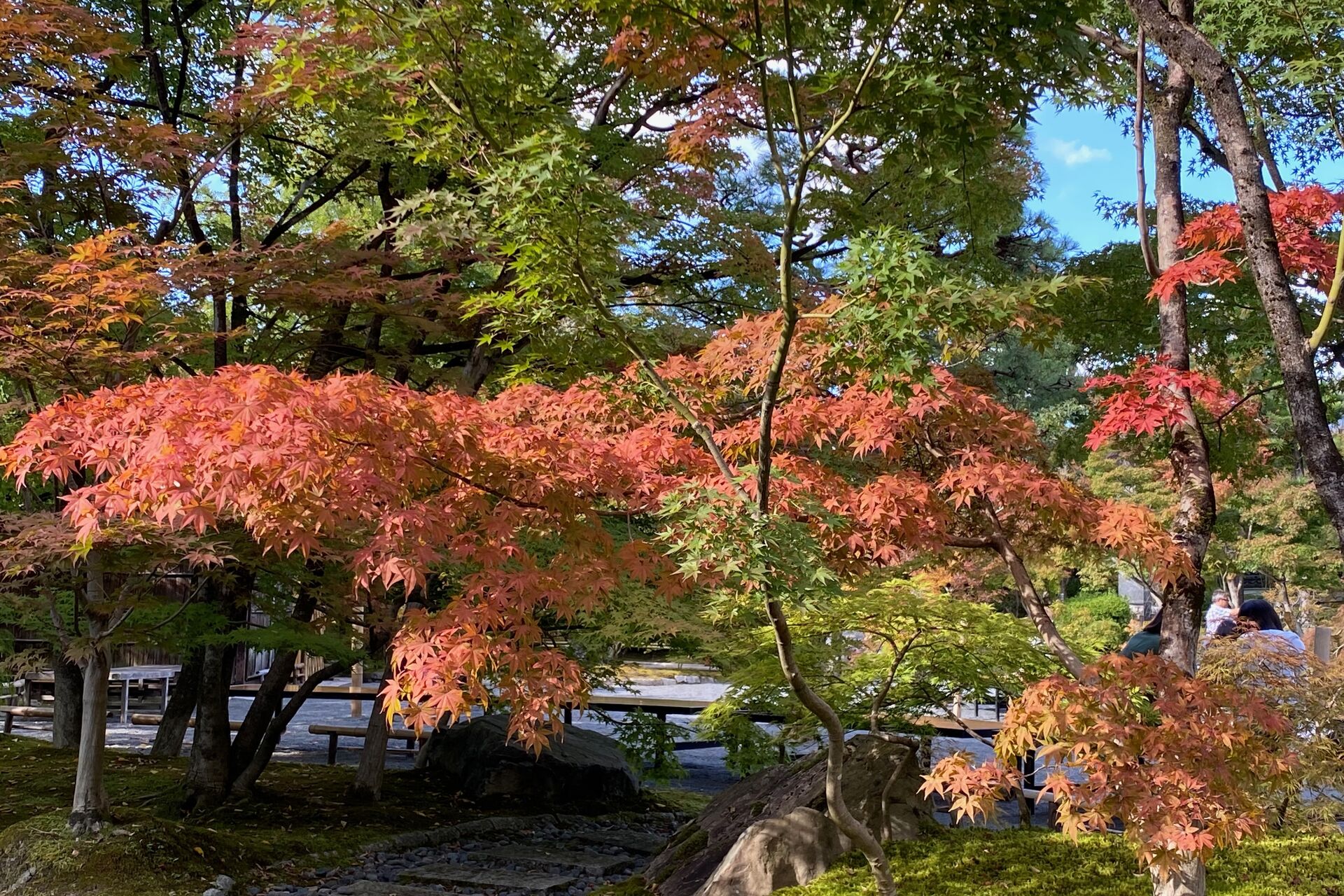 037720b5b88a3d7e0b930b9d8c4457f8