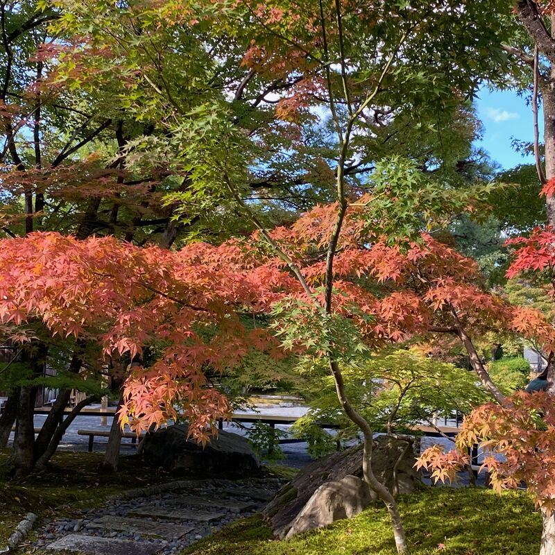 037720b5b88a3d7e0b930b9d8c4457f8