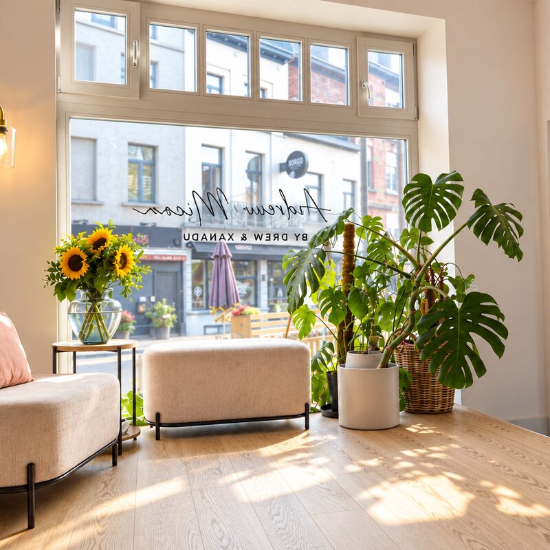 salon vitrine interieure