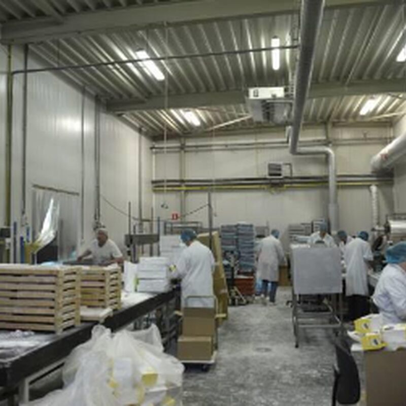productie hoog