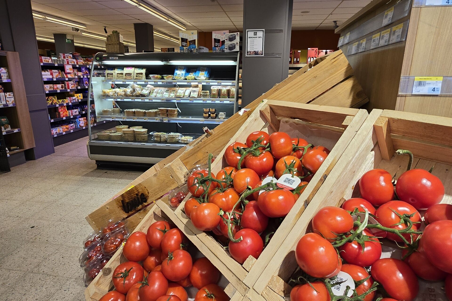 89c9832b308e18bd4f299cf4b55a0c83