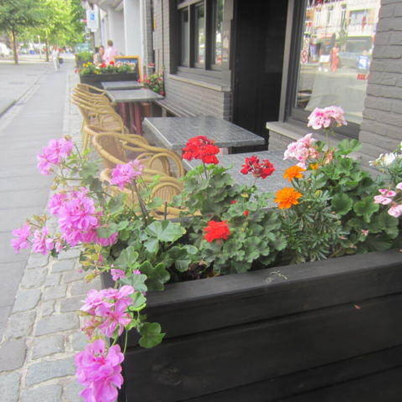 IMG 4717 2025 08 01 105833 srzm 2025 08 01 110202 hiai 2025 08 01 110633 jkas 2025 08 07 071122 mziq