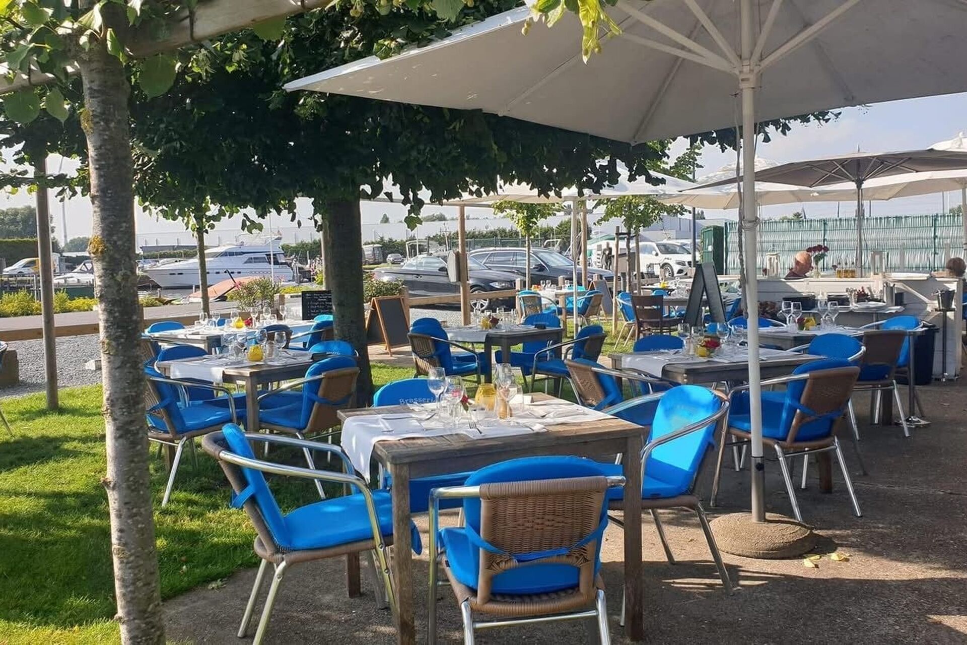 Terras 1