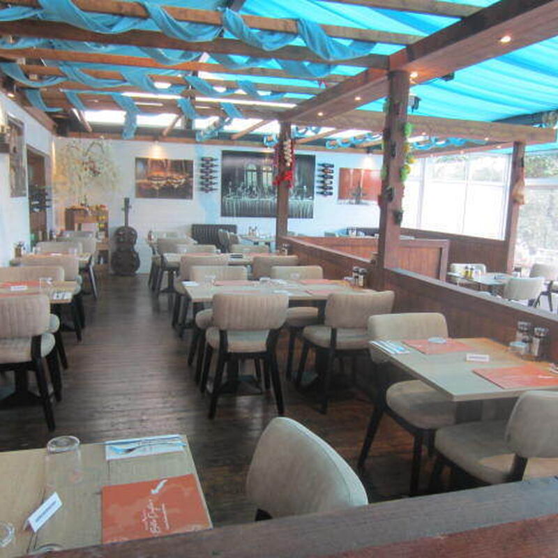 41d206fb54cd5f6238df69e786e3b9db 2025 08 06 102745 zamx