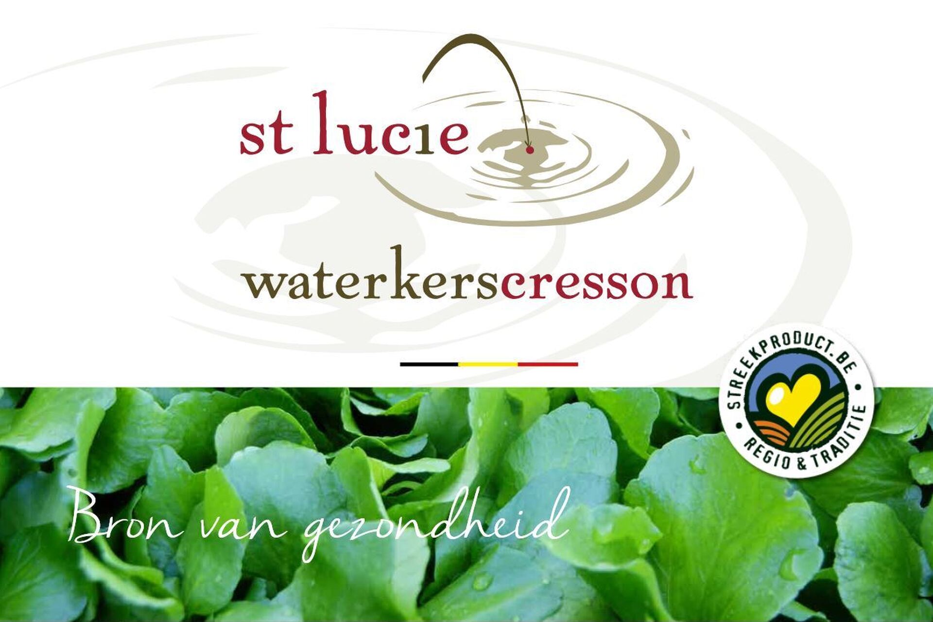 Logo Sint Lucie