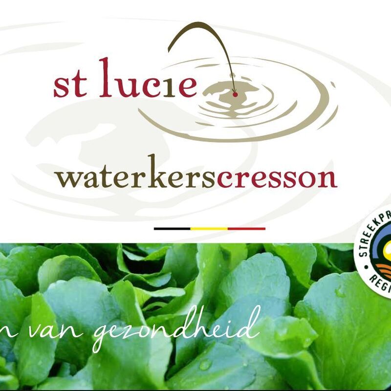 Logo Sint Lucie