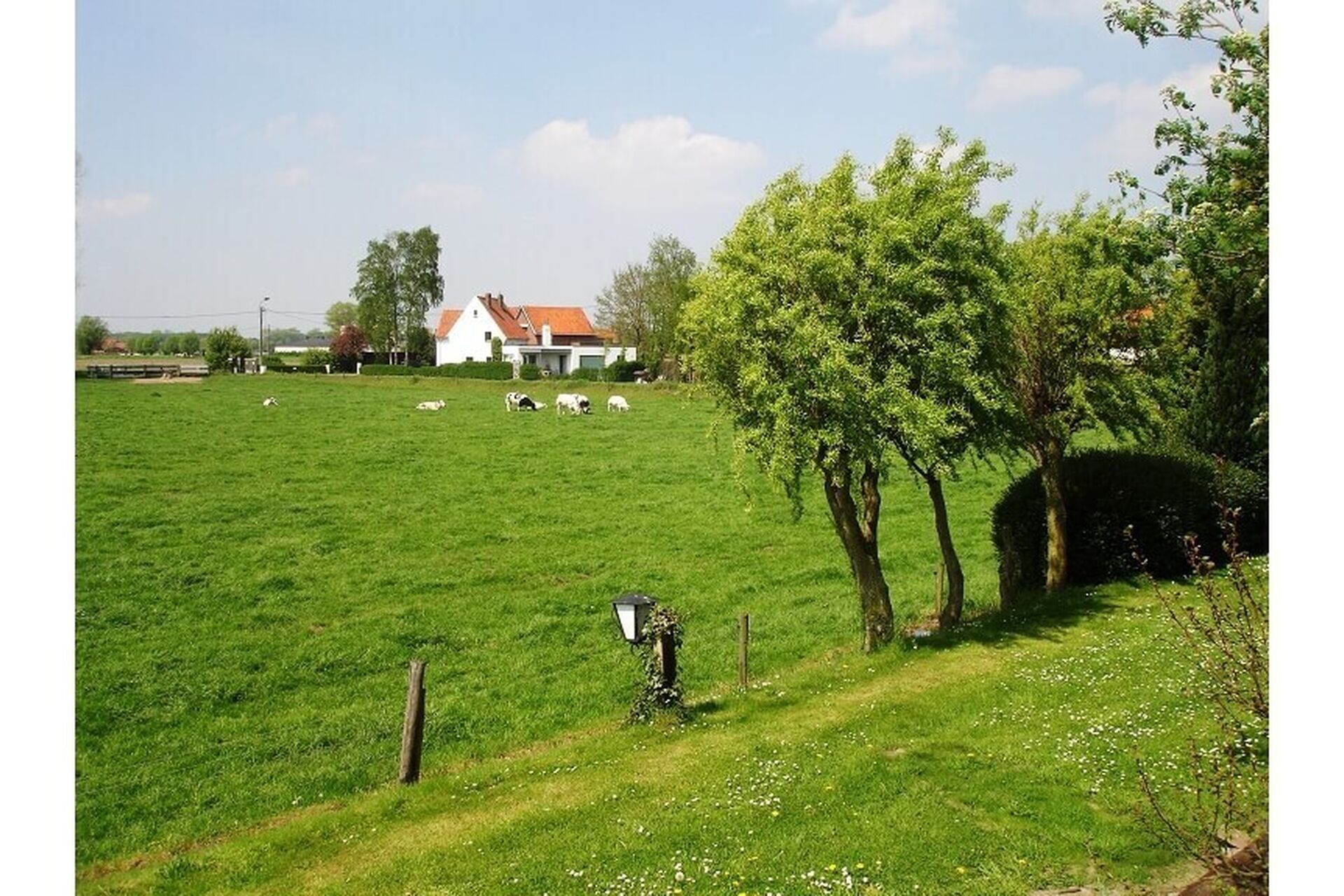 04f1cf55b81b353d809160b255baaacc