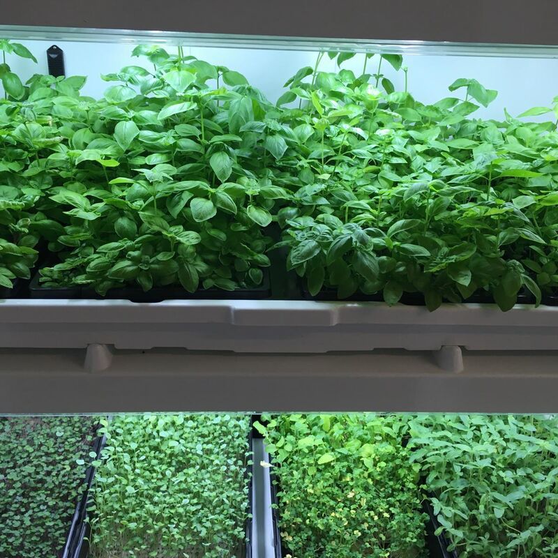 UC 1 2025 10 29 125135 snkt