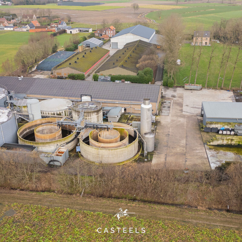 Perstraat 127 9120 Beveren 19