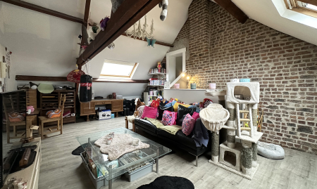 Te koop - Maarkedal - Multifunctionele eigendom met ruim woongedeelte, handelsruimte en zonneterras op toplocatie  image