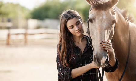 Hotel met 18 gerieflijke kamers - ideaal voor paardenliefhebbers en om te wonen image