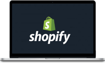 twee startende Shopify webshops met bewezen potentieel