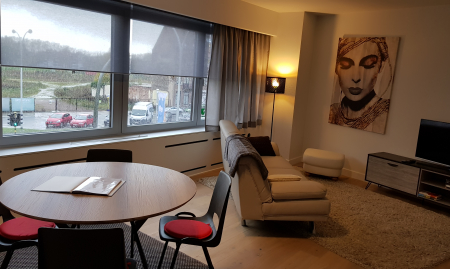 Volledige uitgeruste appartementen (5) voor korte-termijn-verhuur in Mechelen image