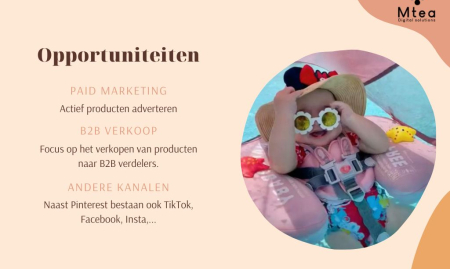Rendabele internationale dropship webshop in babyartikelen. image