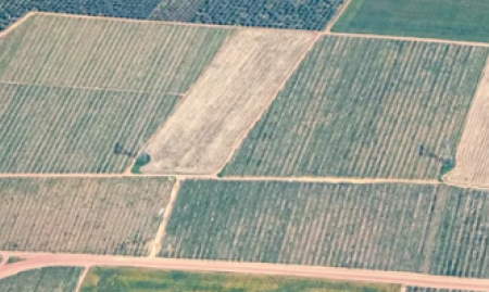 Het bedrijf « LAND&ESTATE » is een vastgoedonderneming  image
