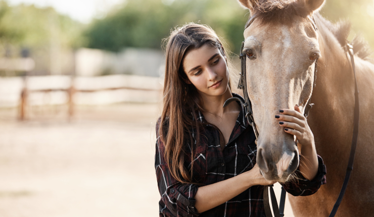 Hotel met 18 gerieflijke kamers - ideaal voor paardenliefhebbers en om te wonen