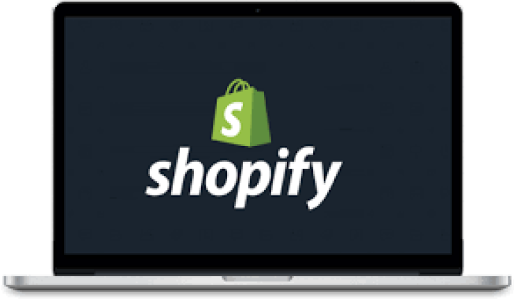 twee startende Shopify webshops met bewezen potentieel