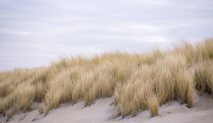 Eetcafé over te nemen - Middelkerke