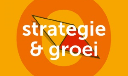 Strategie & Groei als voorbereiding van een overname